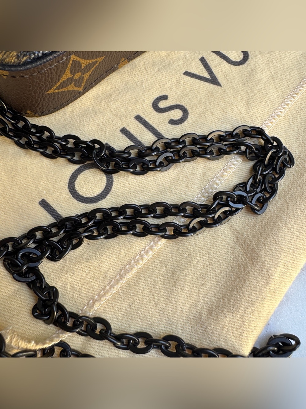 Louis Vuitton Wild Animal Pochette Felicie Crossbody - Picture 6 of 16